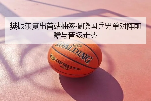 樊振东复出首站抽签揭晓国乒男单对阵前瞻与晋级走势