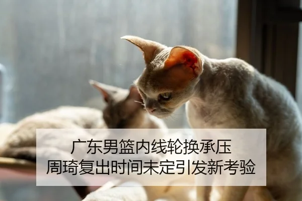 广东男篮内线轮换承压 周琦复出时间未定引发新考验